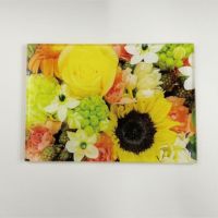 アクリルフォト L判サイズ | アクリル板のDIYカット品・加工品の通販